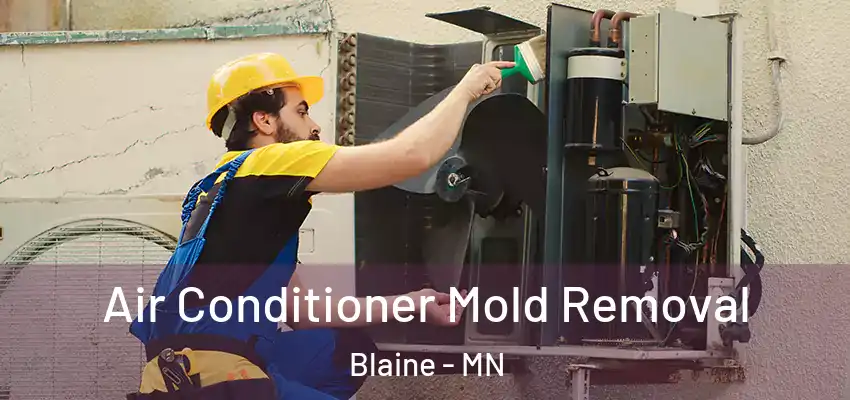 Air Conditioner Mold Removal Blaine - MN