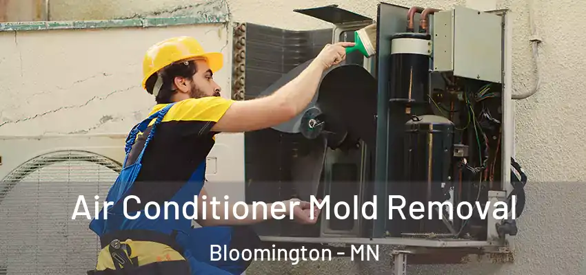  Air Conditioner Mold Removal Bloomington - MN