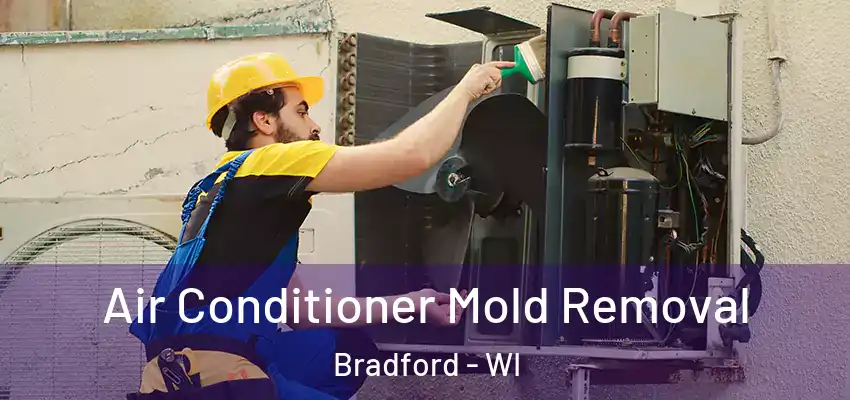  Air Conditioner Mold Removal Bradford - WI