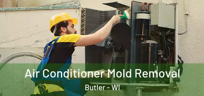 Air Conditioner Mold Removal Butler - WI