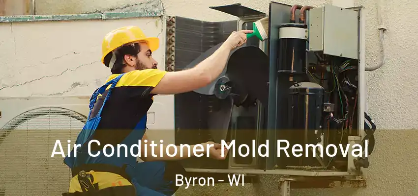  Air Conditioner Mold Removal Byron - WI