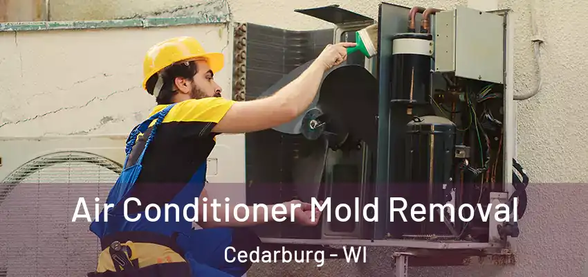  Air Conditioner Mold Removal Cedarburg - WI