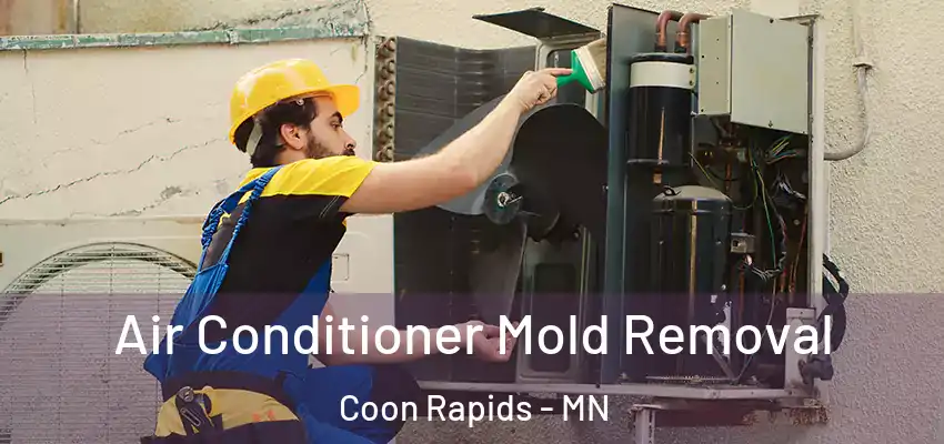 Air Conditioner Mold Removal Coon Rapids - MN