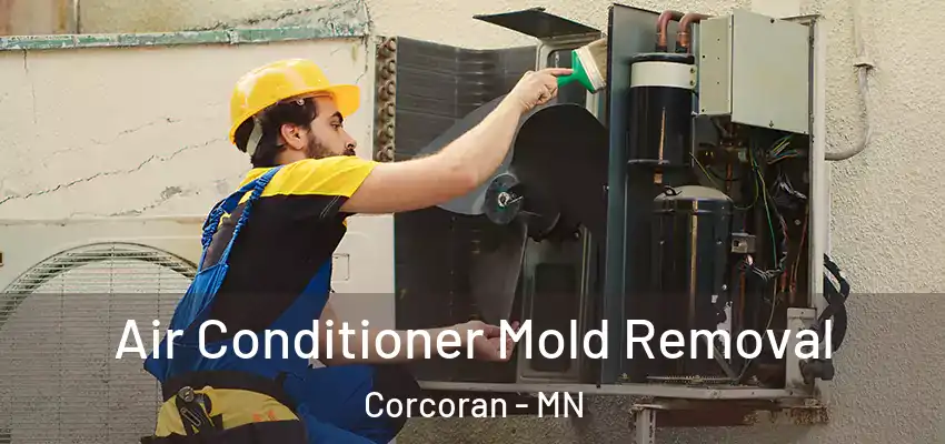 Air Conditioner Mold Removal Corcoran - MN