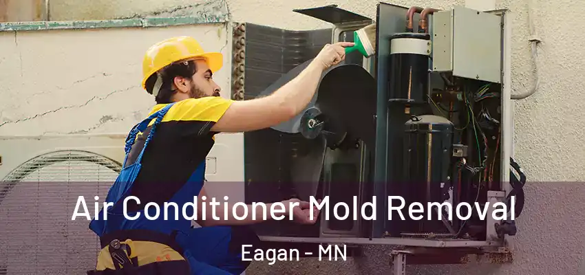  Air Conditioner Mold Removal Eagan - MN