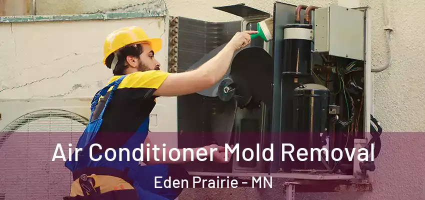  Air Conditioner Mold Removal Eden Prairie - MN