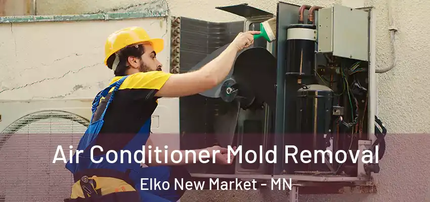  Air Conditioner Mold Removal Elko New Market - MN
