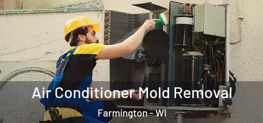  Air Conditioner Mold Removal Farmington - WI
