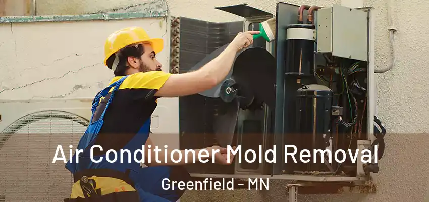  Air Conditioner Mold Removal Greenfield - MN