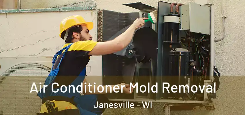  Air Conditioner Mold Removal Janesville - WI