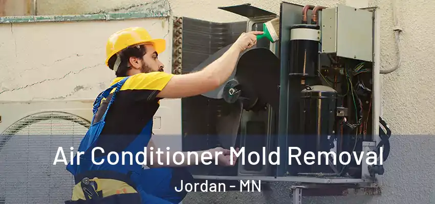  Air Conditioner Mold Removal Jordan - MN