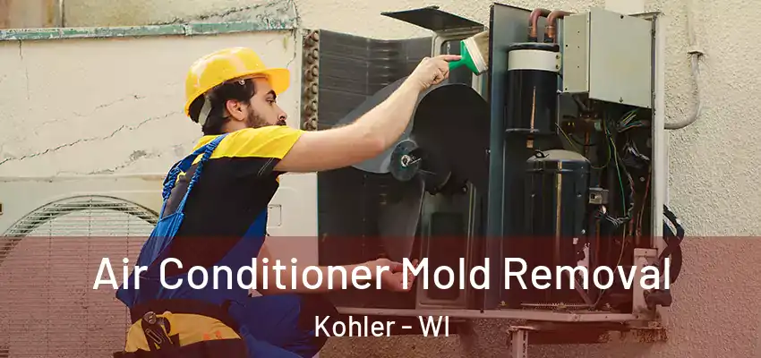  Air Conditioner Mold Removal Kohler - WI
