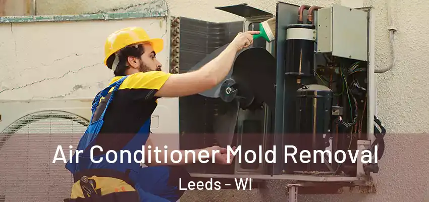  Air Conditioner Mold Removal Leeds - WI