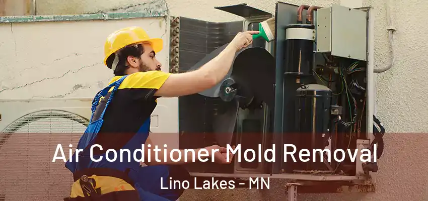  Air Conditioner Mold Removal Lino Lakes - MN