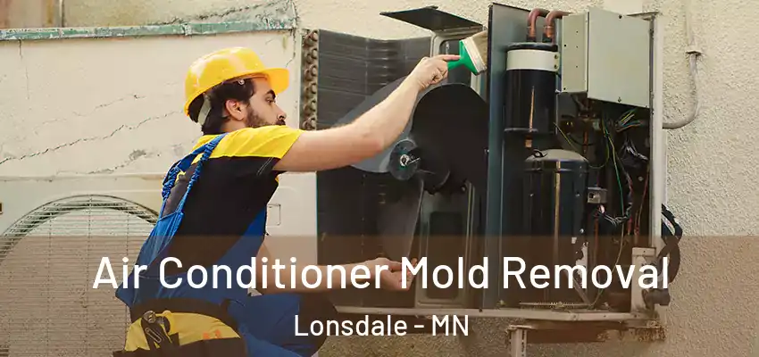  Air Conditioner Mold Removal Lonsdale - MN