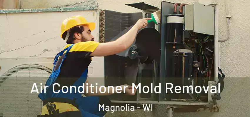  Air Conditioner Mold Removal Magnolia - WI