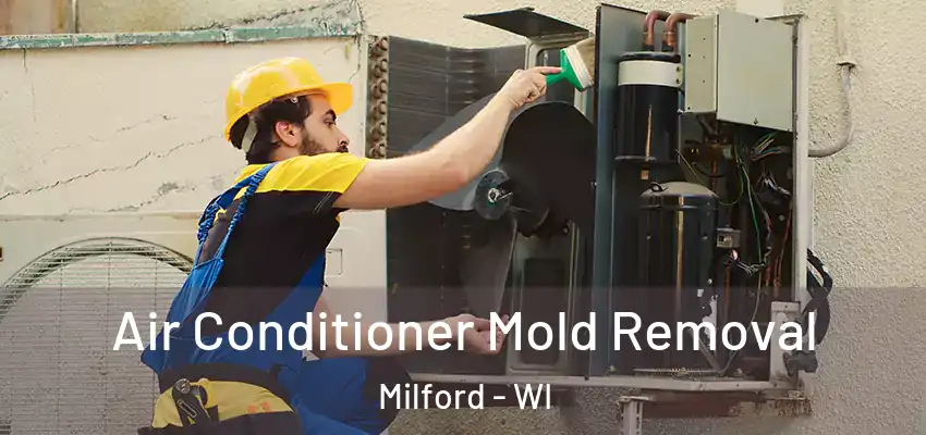  Air Conditioner Mold Removal Milford - WI