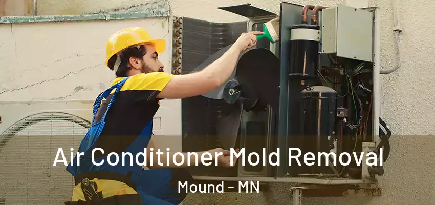  Air Conditioner Mold Removal Mound - MN