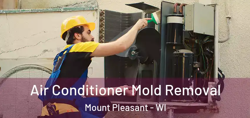  Air Conditioner Mold Removal Mount Pleasant - WI