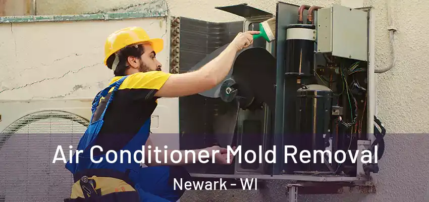  Air Conditioner Mold Removal Newark - WI