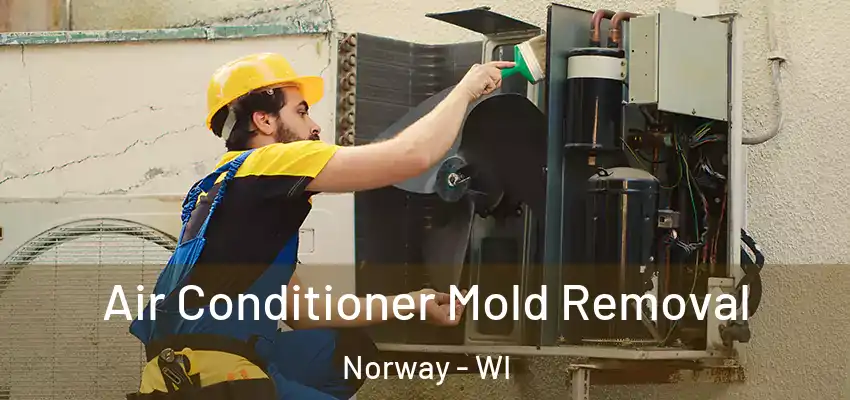  Air Conditioner Mold Removal Norway - WI