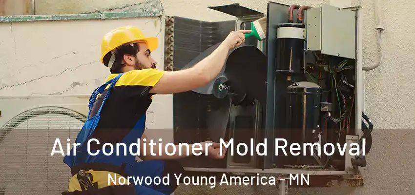  Air Conditioner Mold Removal Norwood Young America - MN