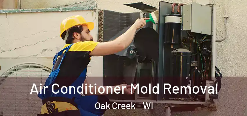  Air Conditioner Mold Removal Oak Creek - WI
