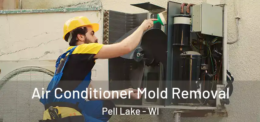  Air Conditioner Mold Removal Pell Lake - WI
