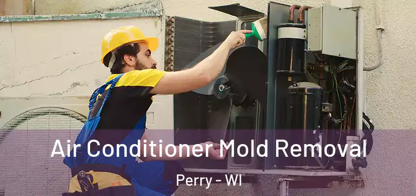  Air Conditioner Mold Removal Perry - WI