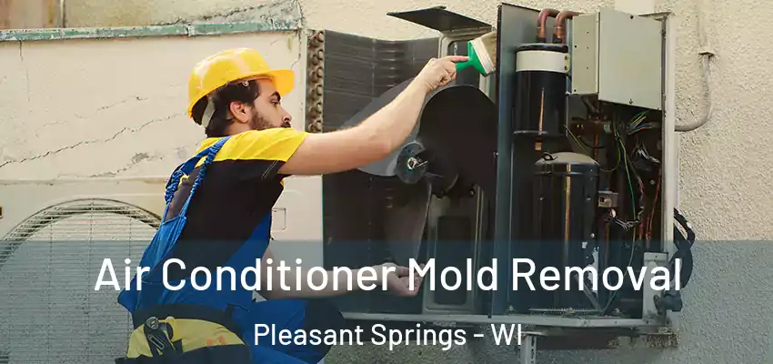  Air Conditioner Mold Removal Pleasant Springs - WI