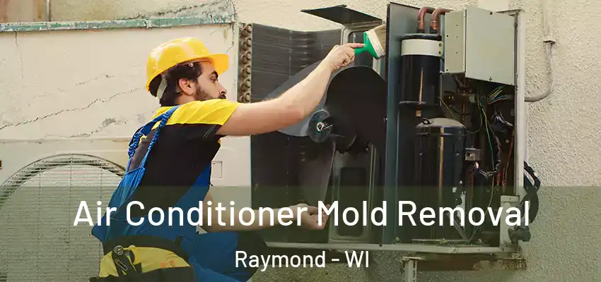  Air Conditioner Mold Removal Raymond - WI