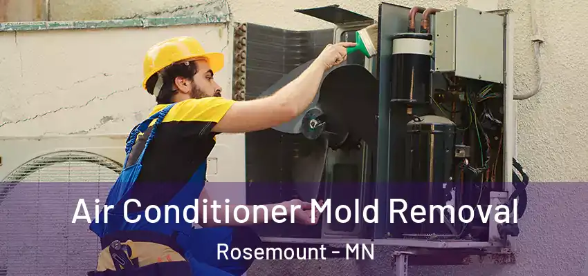  Air Conditioner Mold Removal Rosemount - MN