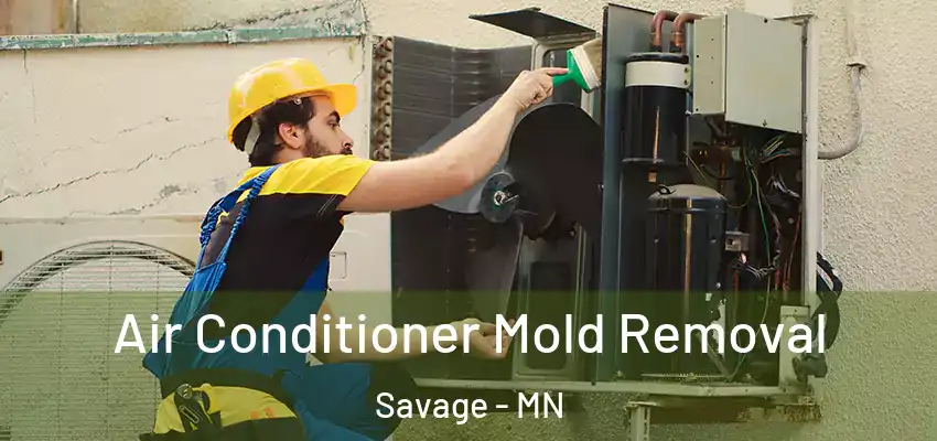  Air Conditioner Mold Removal Savage - MN