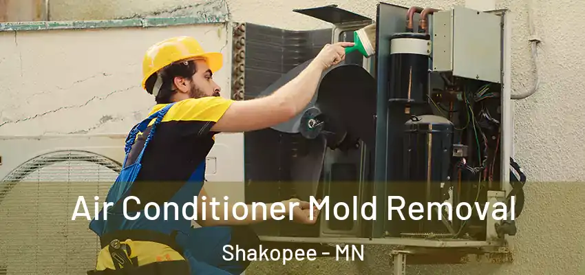  Air Conditioner Mold Removal Shakopee - MN