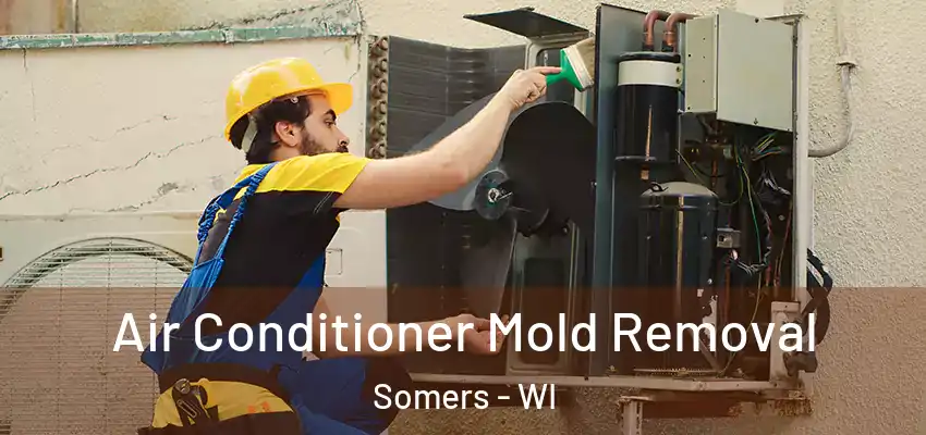  Air Conditioner Mold Removal Somers - WI