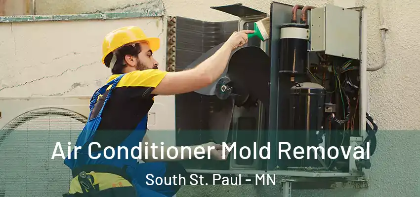  Air Conditioner Mold Removal South St. Paul - MN
