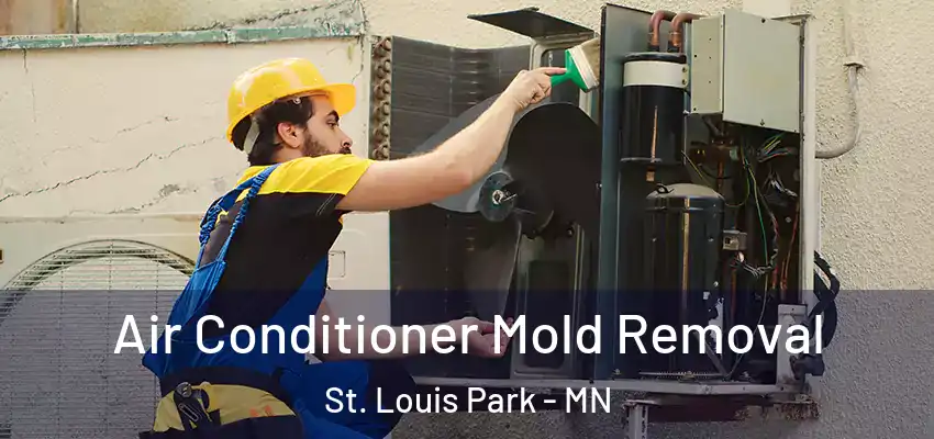  Air Conditioner Mold Removal St. Louis Park - MN