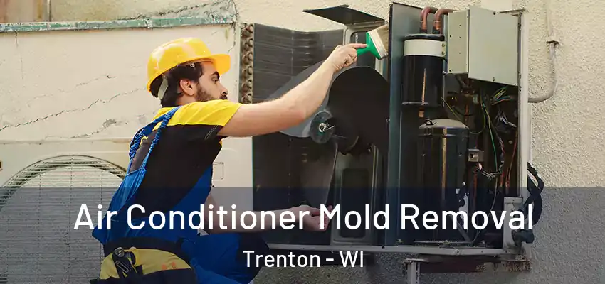  Air Conditioner Mold Removal Trenton - WI