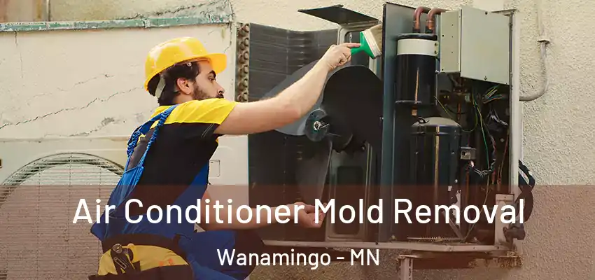  Air Conditioner Mold Removal Wanamingo - MN