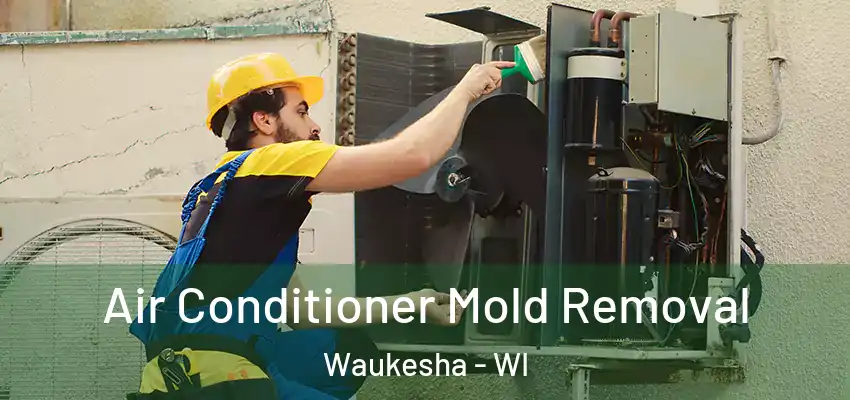  Air Conditioner Mold Removal Waukesha - WI