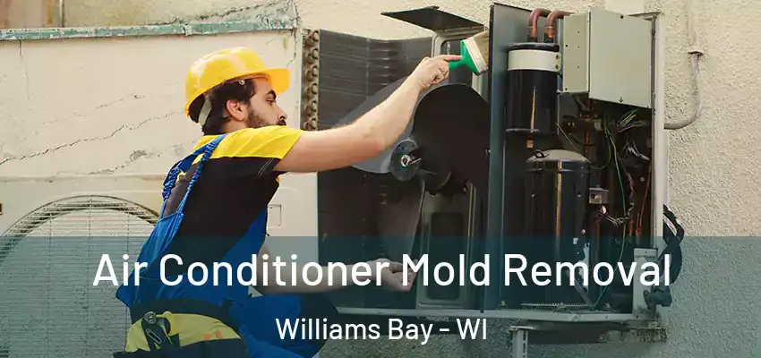  Air Conditioner Mold Removal Williams Bay - WI
