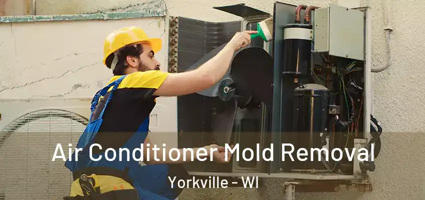  Air Conditioner Mold Removal Yorkville - WI
