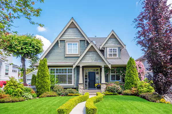 Black Mold Clean Up in Madison, WI