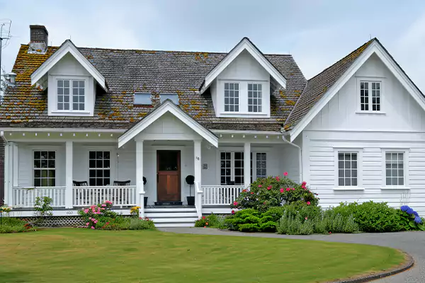 Mold Removal Services in Madison, WI