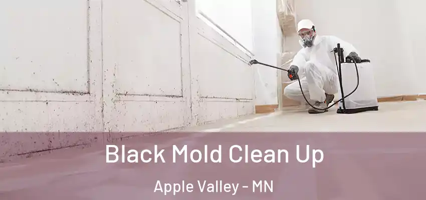  Black Mold Clean Up Apple Valley - MN