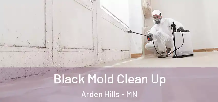  Black Mold Clean Up Arden Hills - MN