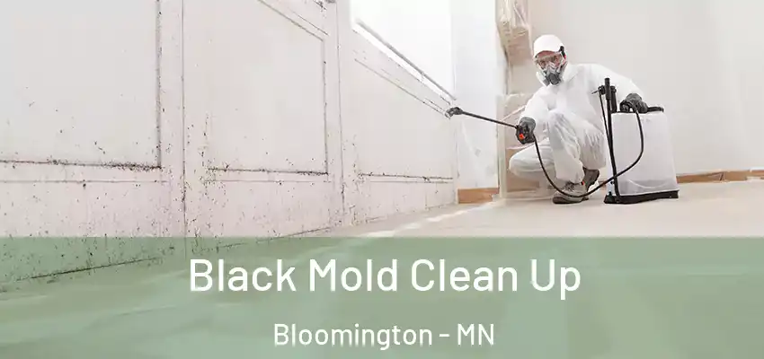  Black Mold Clean Up Bloomington - MN