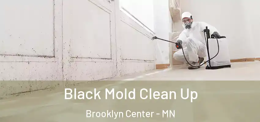  Black Mold Clean Up Brooklyn Center - MN