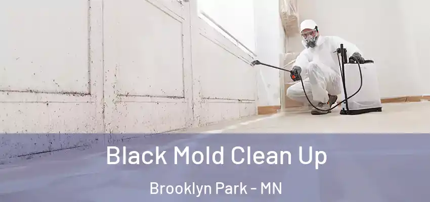 Black Mold Clean Up Brooklyn Park - MN