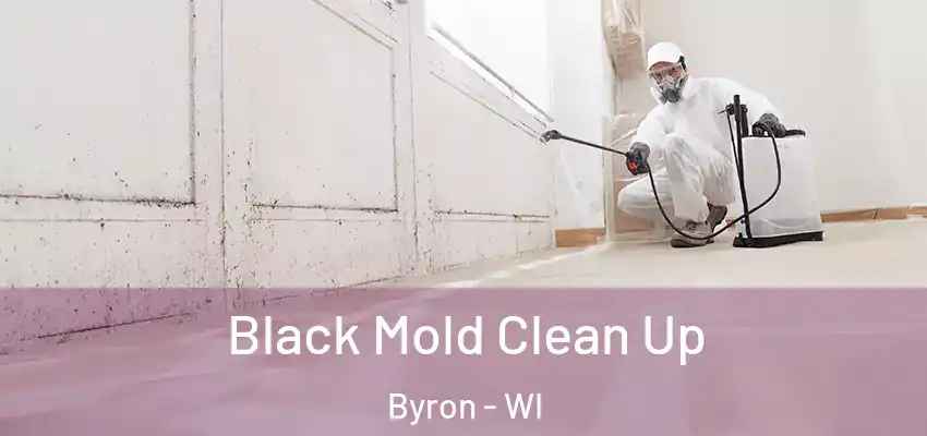  Black Mold Clean Up Byron - WI